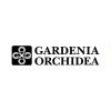 Gardenia Orchidea