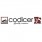 Codicer